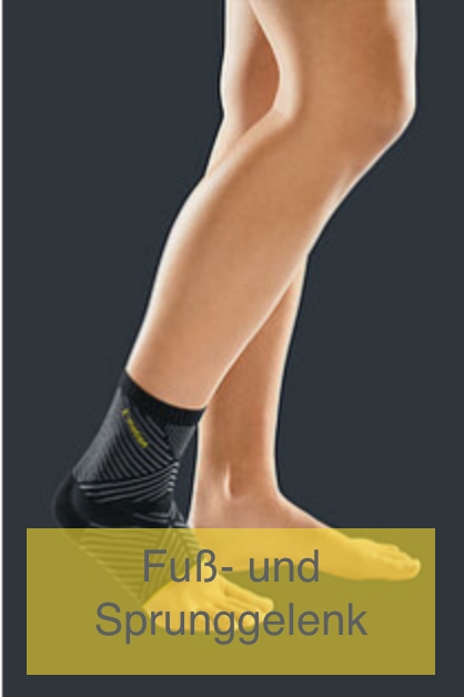 Fuß- und Sprunggelenk